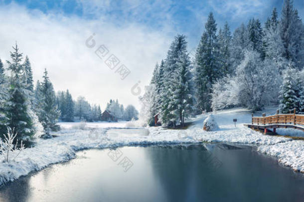 喀尔巴阡山的冬天森林。维托湖