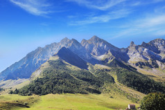  高山草甸 