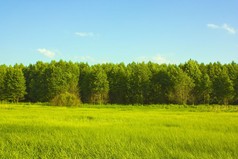 夏季风景