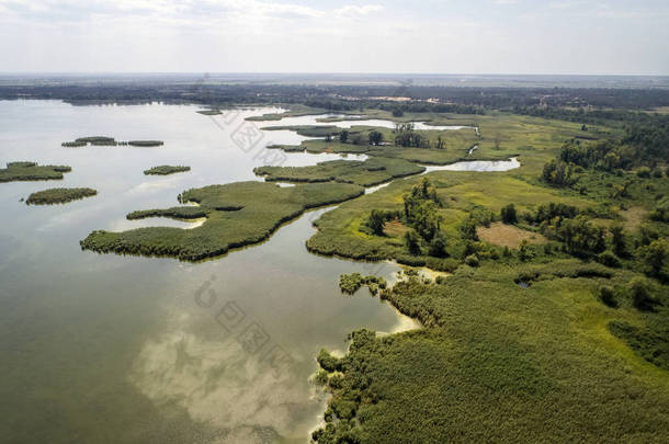 沼泽的湖, 空中摄影, 在夏天天, 背景图片