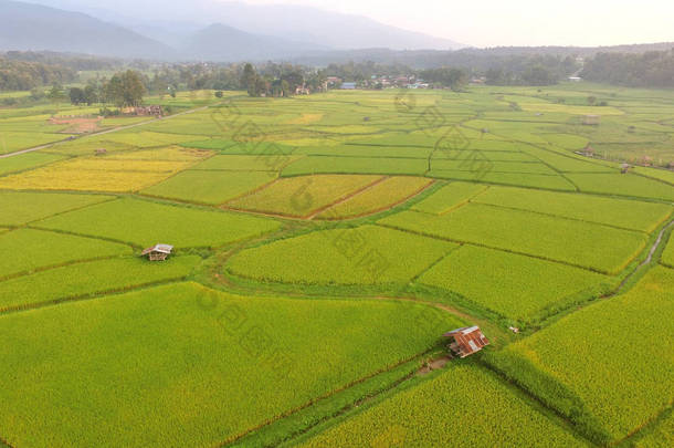 泰国美丽的<strong>稻田</strong>风景. 