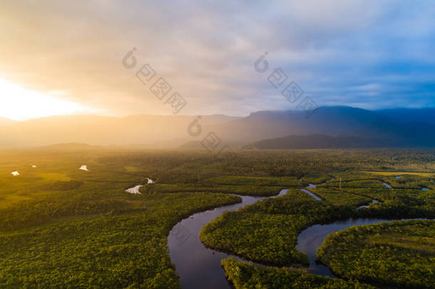 在巴西的亚马逊<strong>雨林</strong>