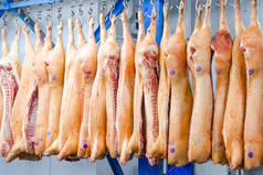 肉类工厂。挂在钩子上的猪肉。屠宰车间的猪肉壳。猪肉的工业加工。屠夫.