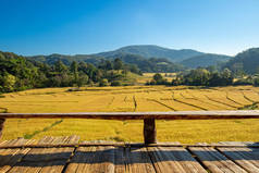 美丽的风景金色的水稻梯田和房子与成熟的水稻在泰国