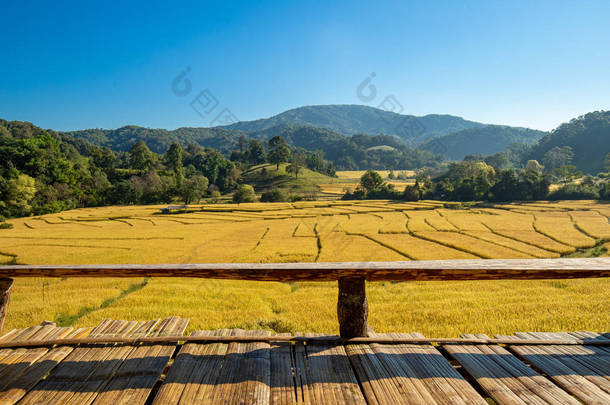 美丽的风景<strong>金色</strong>的<strong>水稻</strong>梯田和房子与成熟的<strong>水稻</strong>在泰国