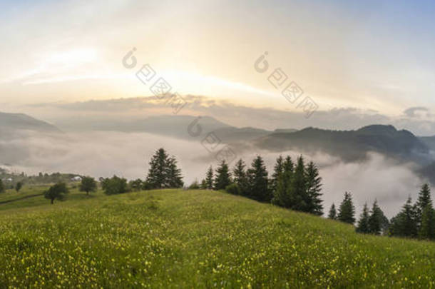 雾景中美丽的雾山壮丽的景色.戏剧化的不寻常场面。旅行背景。探索美丽的世界。喀尔巴阡山乌克兰。欧洲.