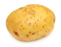 白色背景的土豆
