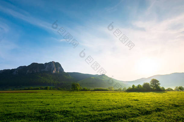 美丽的日出在山上。美妙的春天的风景与树木在草地上和巨大的岩石形成的距离。蓝天上的云。<strong>地点</strong>: 罗马尼亚