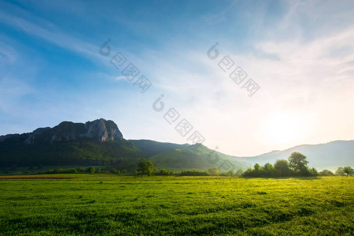 美丽的日出在山上。美妙的春天的风景与树木在草地上和巨大的岩石形成的距离。蓝天上的云。地点: 罗马尼亚