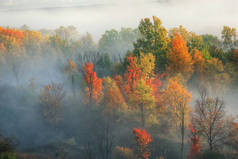 密歇根州卡拉马祖河谷森林的多雾秋季景观