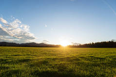 美丽的绿色草地，夕阳西下，远离小山.