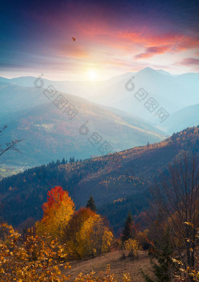 多彩的秋日景色在山村里。在喀尔巴阡山的早晨有雾。sokilsky 脊，乌克兰，欧洲.