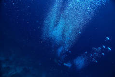水下海洋/景观水下世界, 场景蓝色田园