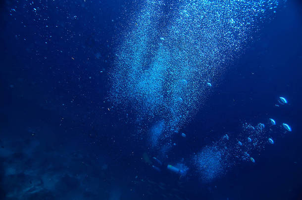 水下海洋/景观水下世界, <strong>场景</strong>蓝色田园