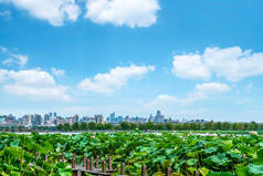 杭州西湖景观与建筑景观研究