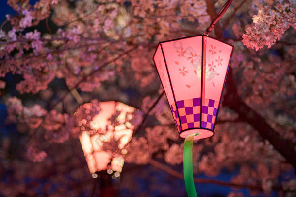 在日本大阪<strong>樱花盛开</strong>季节，大阪城堡公园挂着装饰电灯，供夜景用