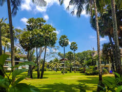 一间有着棕榈树的热带宾馆.