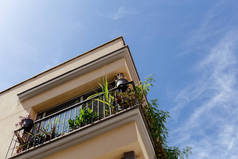 加泰罗尼亚背景蓝天房屋阳台上的绿色植物低角度视图 