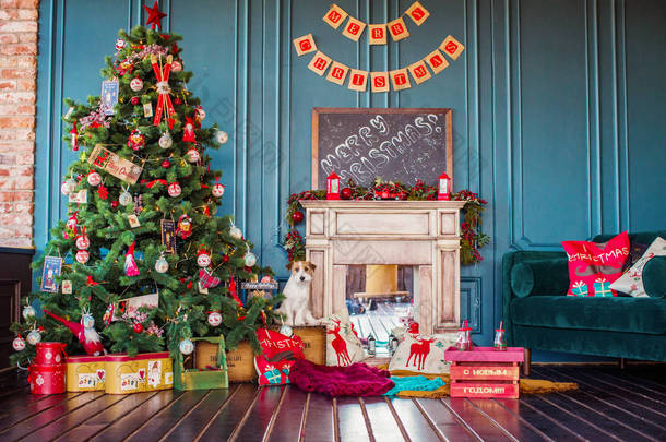 杰克 · 鲁塞尔犬在<strong>圣诞</strong>装饰的内部，假日的概念   