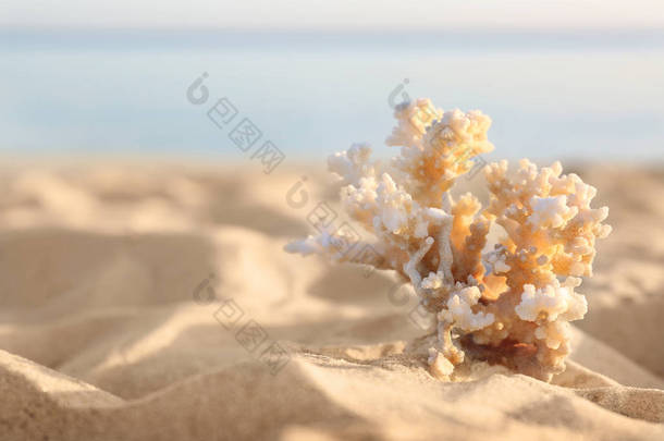 <strong>阳光</strong>明媚的夏日，沙滩与美丽的珊瑚在海边。文本空间