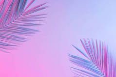 棕榈叶在充满活力的大胆梯度全息霓虹灯色彩, 概念艺术 