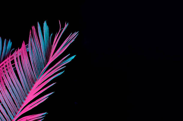 热带和棕榈叶在充满活力的大胆梯度全息霓虹灯颜色, 概念艺术, 最小超现实主义 