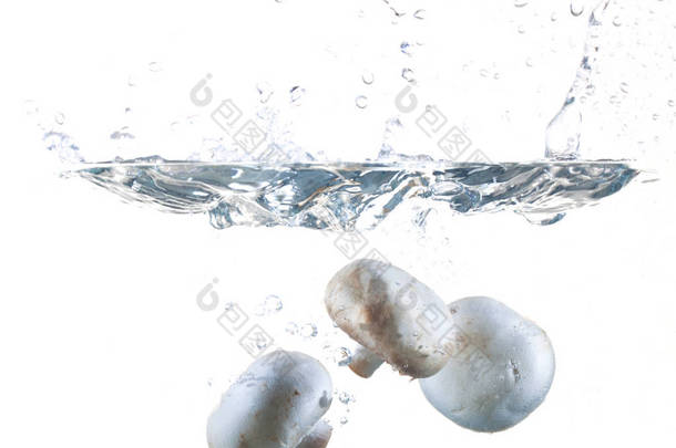 蘑菇放入水