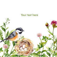 与复古设计贺卡: 野菜，鸟和巢。水彩的老式卡