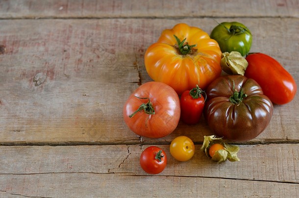 不同类型的西红柿