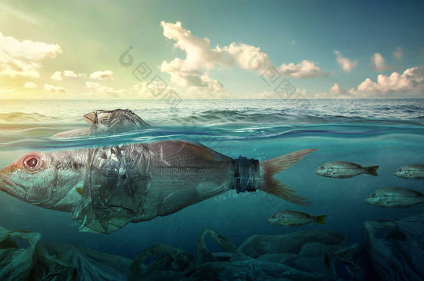 鱼在塑料海洋污染中游动。环境理念