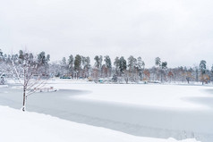 冬季公园的白雪覆盖的美丽的树木和冰冻的湖泊 