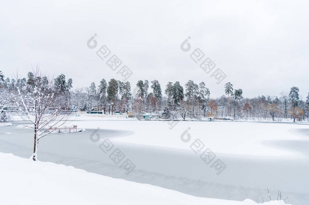 冬季公园的白雪覆盖的美丽的树木和冰冻的湖泊 