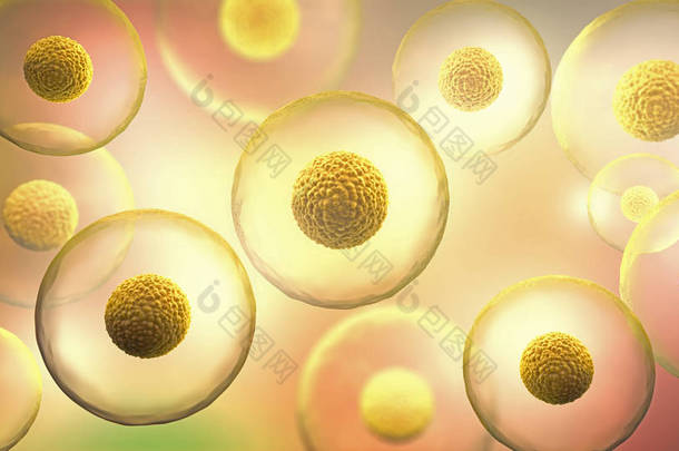 黄色背景上带有核的透明细胞 - 3d 插图