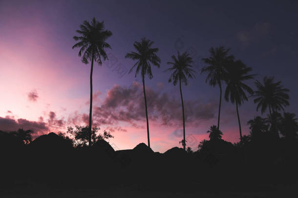 背景为深色紫色天空的棕榈树<strong>剪影</strong>