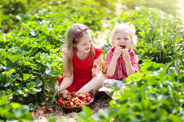 孩子们在夏天的浆果地里摘<strong>草莓</strong>
