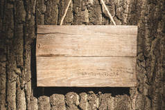 挂在树灰树皮上的空木板
