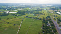 房屋与典型水稻种植或农业的鸟瞰图