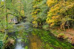 一条清澈美丽的河流流过五彩缤纷的秋林