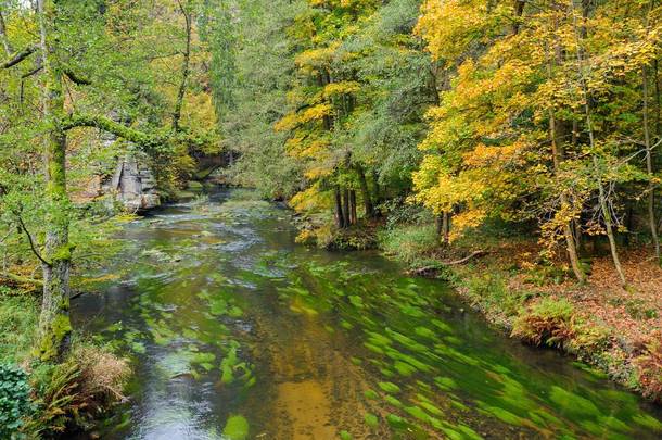 一条清澈美丽的河流流过五彩缤纷的秋林