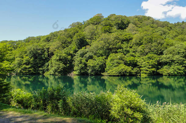 秋田， 日本 - 2016年8月11日： 在石村-三池山区的12个湖泊。东北地区的联合国教科文组织世界遗产。日本青森县
