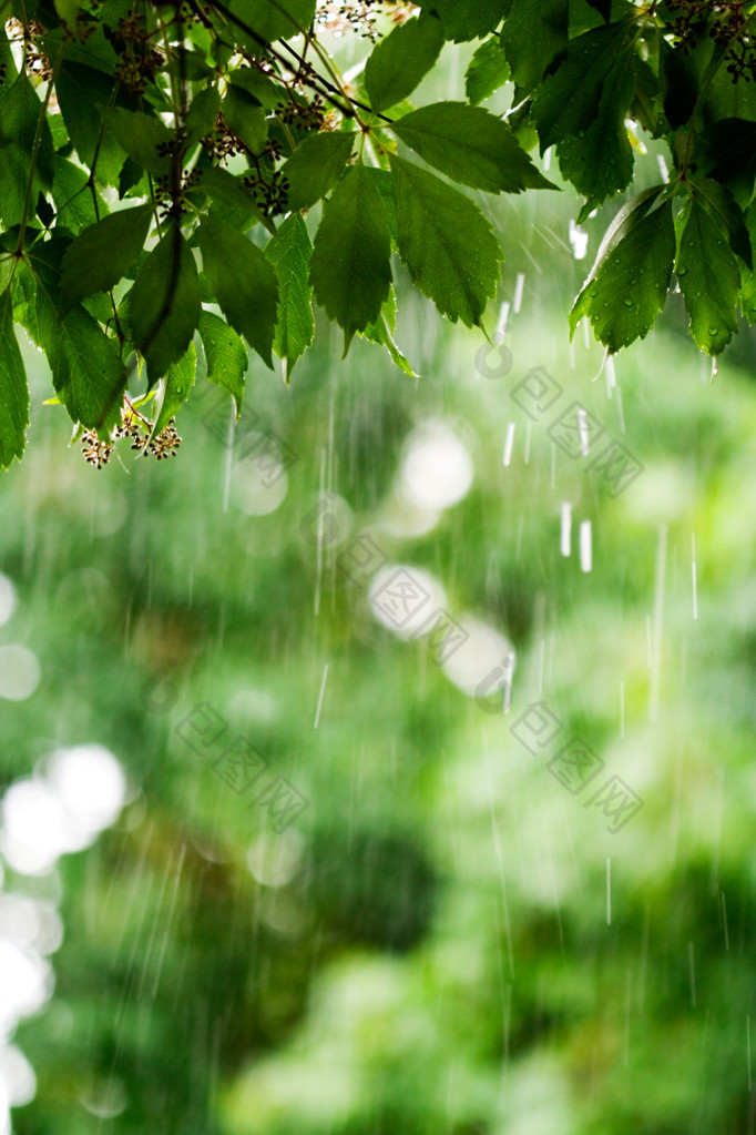 下雨天