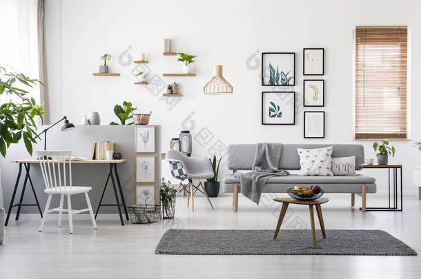 现代客厅内饰灰色装饰, 木制家具和画廊的最低限度的图片在白色的墙壁上