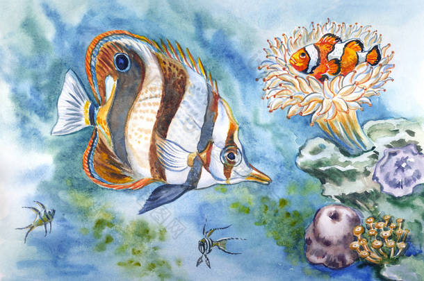 海底居民：蝴蝶鱼、小丑鱼、海葵等，水彩画.