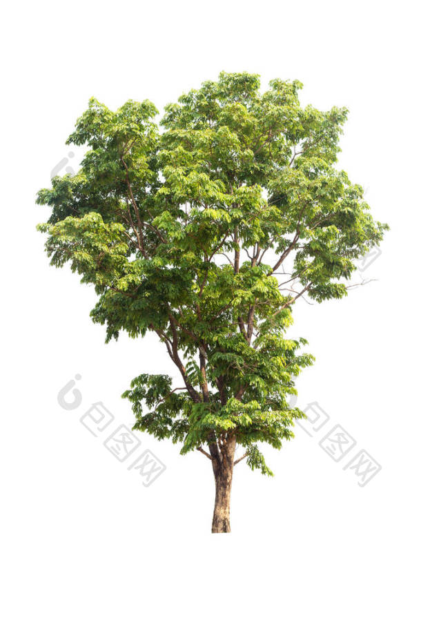 绿色的苔藓山被白色的背景隔开了的全部深度图片-包图网企业站