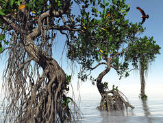 佛罗里达海岸红树3D渲染