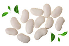 白色的芸豆, 在白色的背景上被隔绝的绿叶点缀着。顶部视图