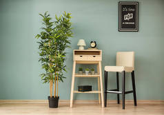 现代家具与盆栽在房间的彩色墙壁附近