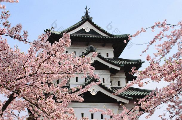 樱花和日本城堡