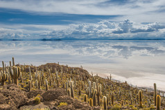 玻利维亚Salar de Uyuni Incahuasi岛