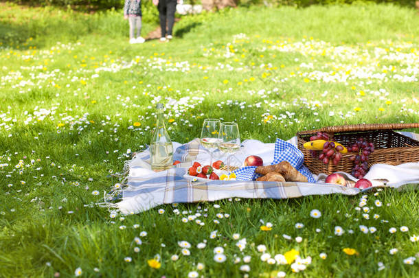 方格格子式野餐苹果篮果绿草夏时休息背景设计, 复制空间